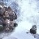kingtreen