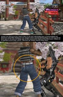Dead or Alive 4