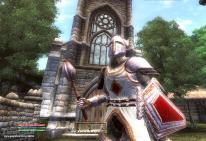 The Elder Scrolls IV: Oblivion: Knights of the Nine