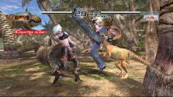 Dead or Alive 4