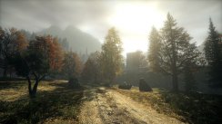 Alan Wake