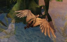 Aion