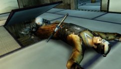 Tenchu: Shadow Assassins