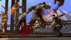 Ninja Gaiden II