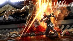Ninja Gaiden II