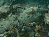 WorldShift i nye screens