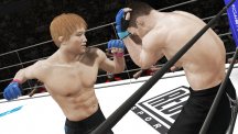 UFC Undisputed 3