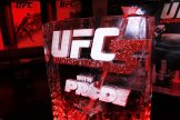 UFC Undisputed 3