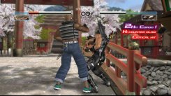 Dead or Alive 4