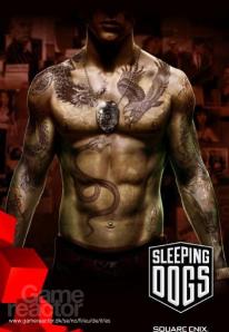 Sleeping Dogs