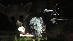 The Last Guardian