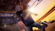 Sleeping Dogs
