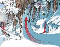 SSX