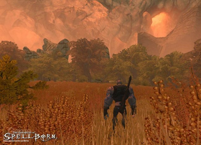 The Chronicles of Spellborn