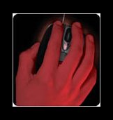 Fatal1ty 1010 Mouse