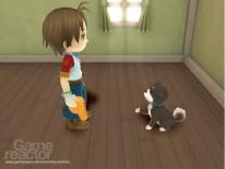 Harvest Moon: Animal Parade