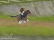 Harvest Moon: Animal Parade