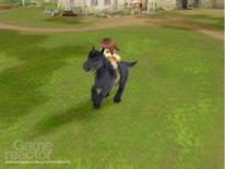 Harvest Moon: Animal Parade
