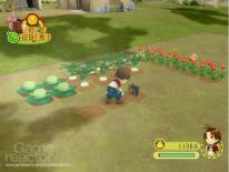 Harvest Moon: Animal Parade