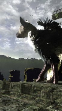 The Last Guardian
