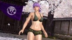 Dead or Alive 5