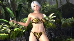 Dead or Alive 5