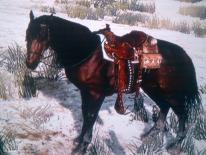 Red Dead Redemption