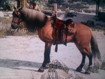 Red Dead Redemption