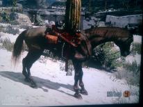 Red Dead Redemption