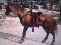 Red Dead Redemption
