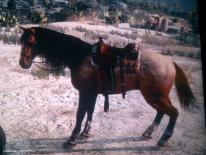Red Dead Redemption