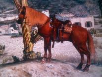 Red Dead Redemption