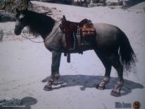 Red Dead Redemption