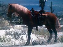 Red Dead Redemption
