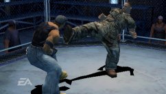Def Jam Fight For New York: The Takeover