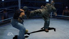 Def Jam Fight For New York: The Takeover