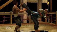 Def Jam Fight For New York: The Takeover