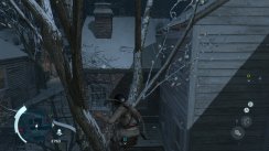 Assassin's Creed III