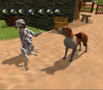 Dog's Life