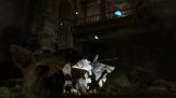The Last Guardian