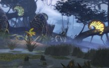 Guild Wars 2