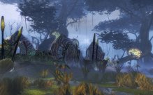 Guild Wars 2