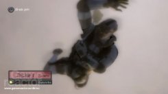 Splinter Cell: Double Agent