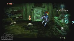 The Legend of Zelda: Twilight Princess
