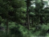 The Elder Scrolls IV: Oblivion