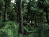 The Elder Scrolls IV: Oblivion