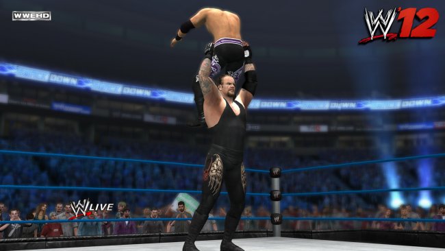 WWE 12