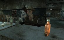 Fallout: New Vegas