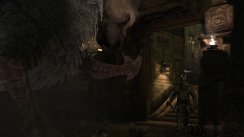 The Last Guardian