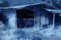 Nye screens fra Crysis